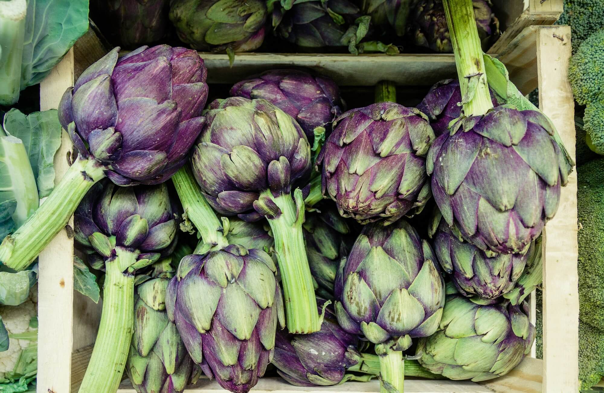 Alcaucil, la flor más saludable. ¡Conocé sus increíbles beneficios!